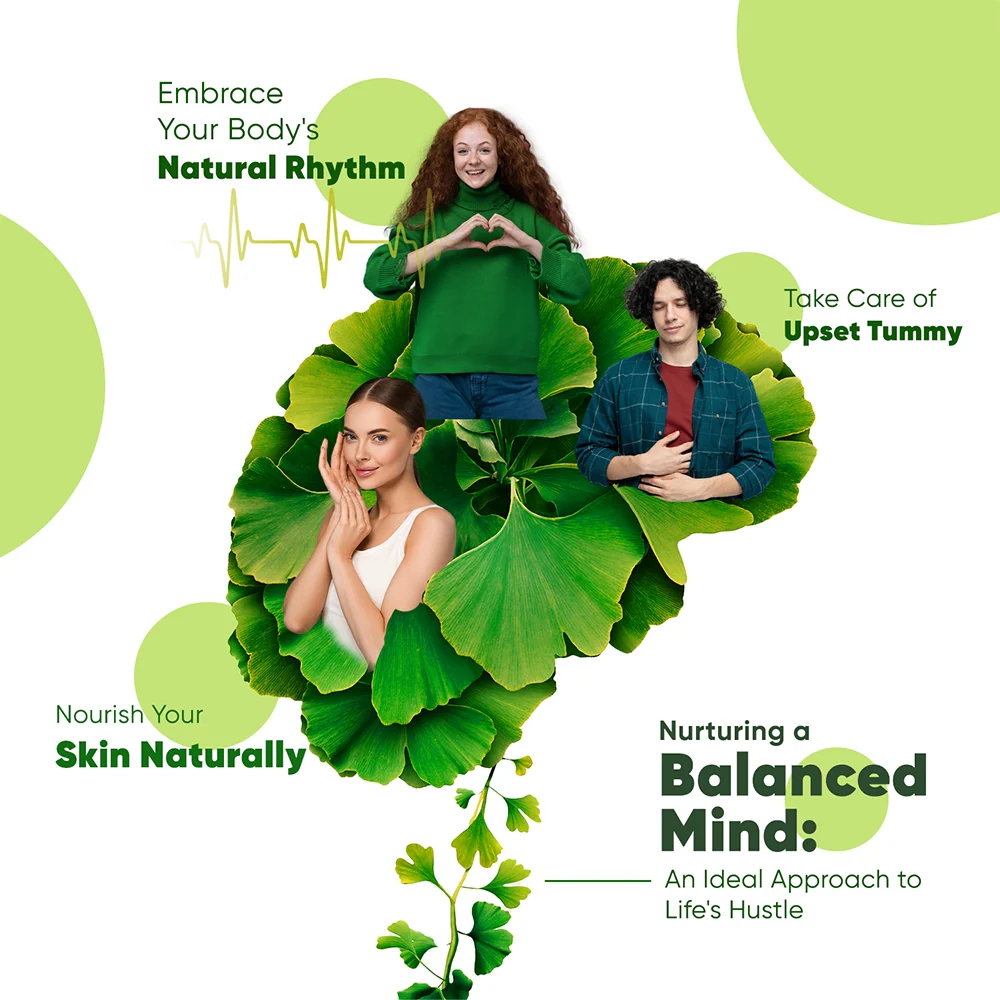 Ginkgo Biloba With Siberian Ginseng Tablets - Image 3