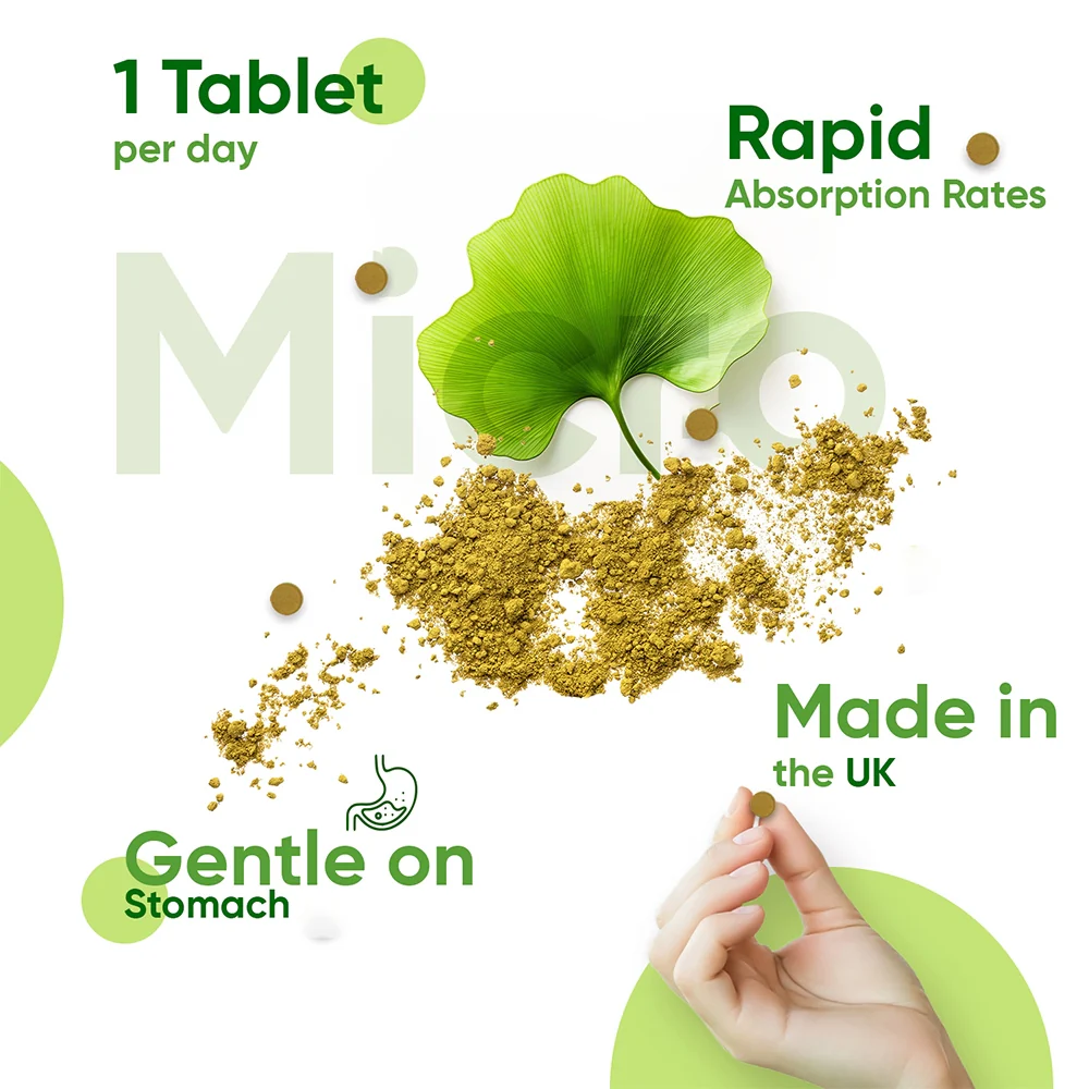 Ginkgo Biloba With Siberian Ginseng Tablets - Image 5