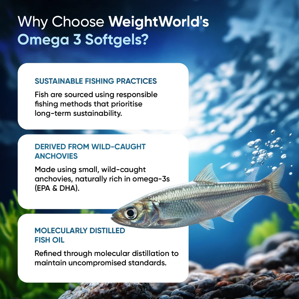 Omega-3 Fish Oil Softgels - Image 5